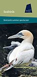 Seabirds leaflet